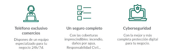 Caser Comercio Connect