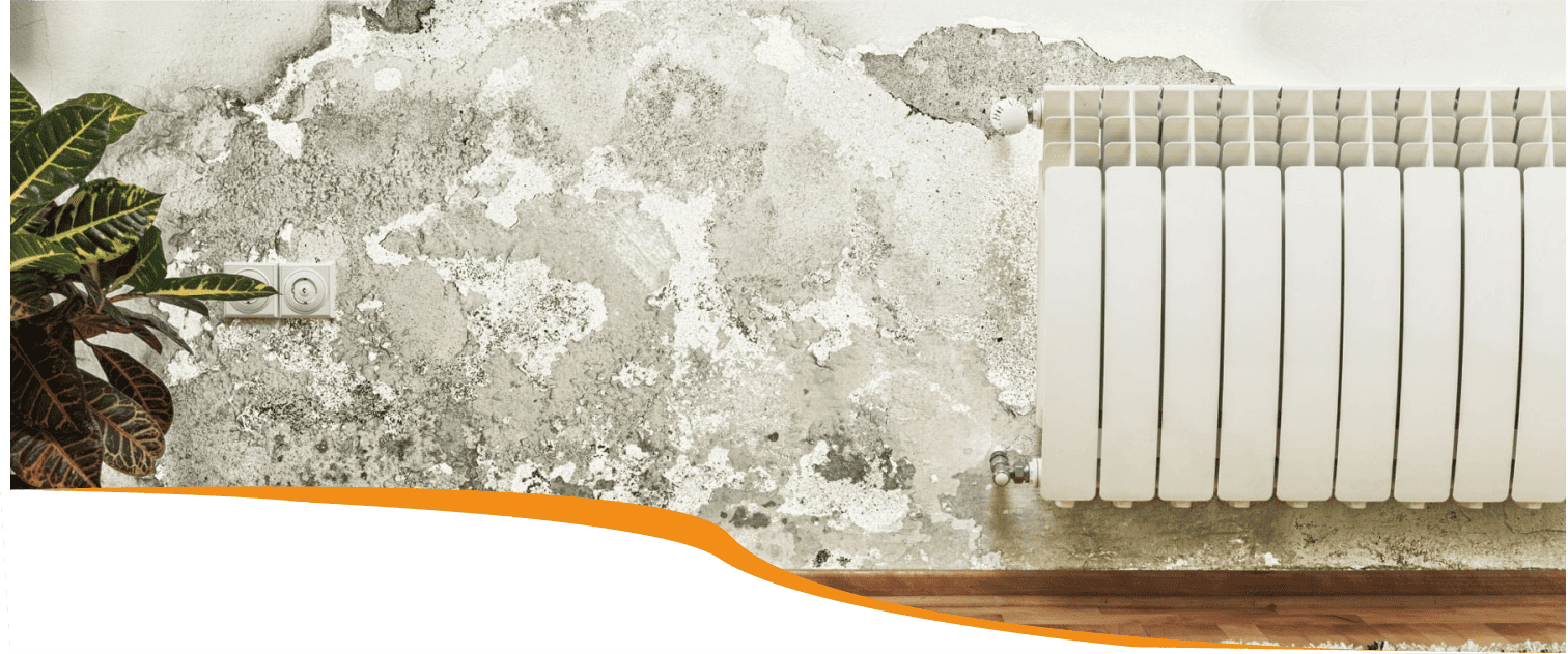 Tratamientos de humedades